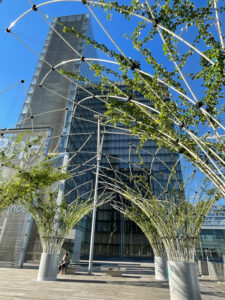 13 -French National Library - A
